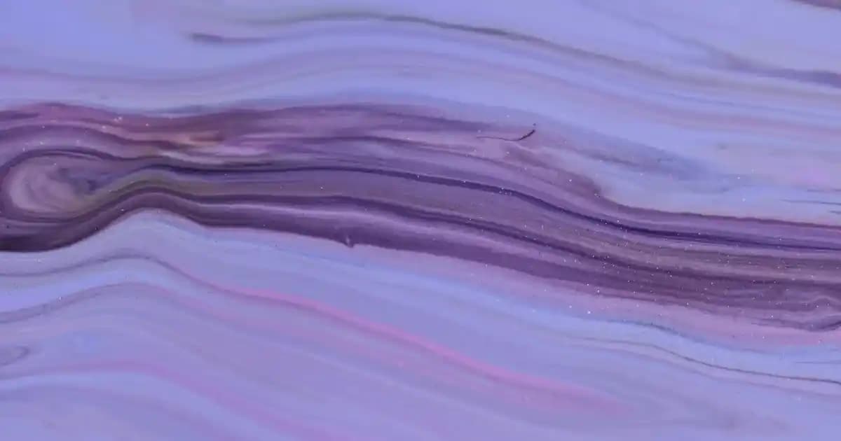 Kumkuat Fiyatları ve Piyasa Dinamikleri: Sağlıklı ve Egzotik Meyve Trendleri