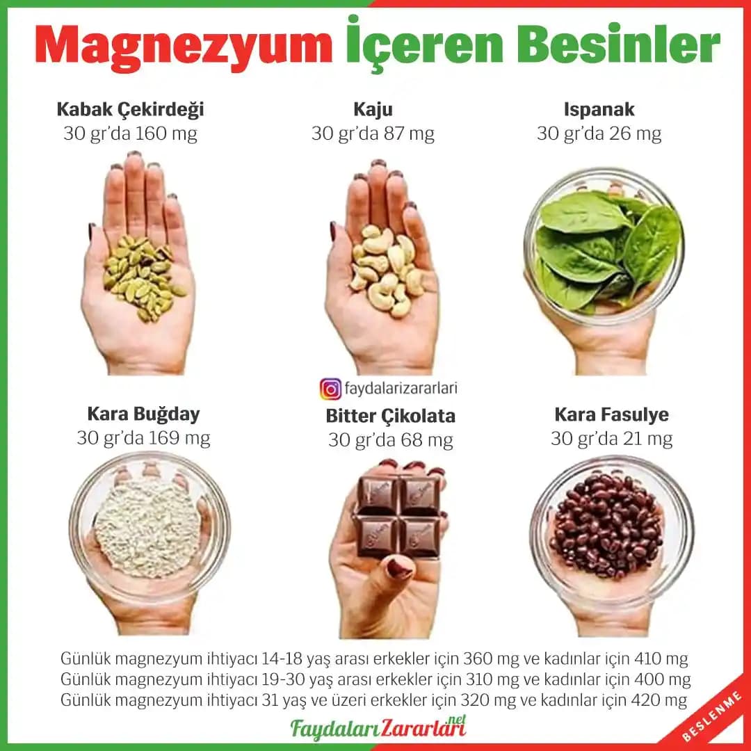 Magnezyum İçin Gerekli Yiyecekler ve Sağlıklı Beslenme Rehberi