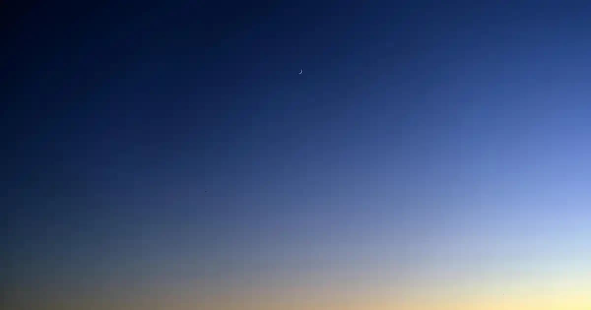 Marketlerde Yeni Trendler ve Tüketici Davranışları Analizi