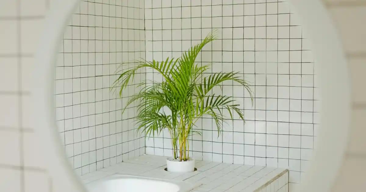 Marketlerdeki En Popüler Mayonez Çeşitleri ve Kullanım Alanları Hakkında Detaylı Bilgi